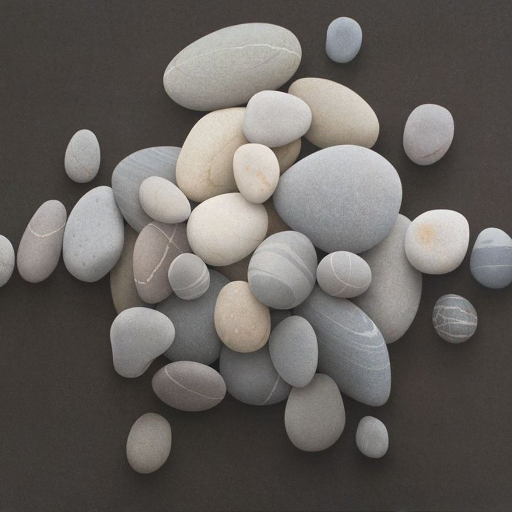 Meet your Posher, Roxy